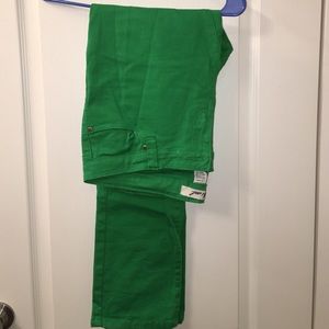 Wet Seal Skinny Jeans