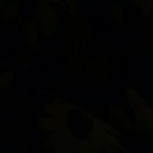 Meet your Posher, India