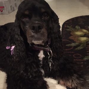 Meet your Posher, Valerie