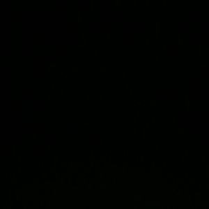 Meet your Posher, Claudia