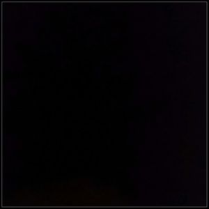 Meet your Posher, Janine