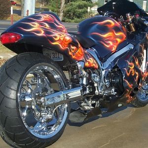 Meet your Posher, Toby