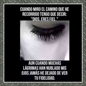 Meet your Posher, Katy