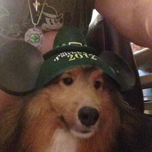 Meet your Posher, Ramona