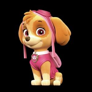 Meet your Posher, De'shon