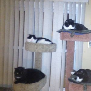 Meet your Posher, Suzette