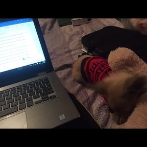 Meet your Posher, Vanessa