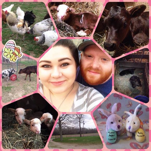 Meet your Posher, Raven - Picture 1 of 1