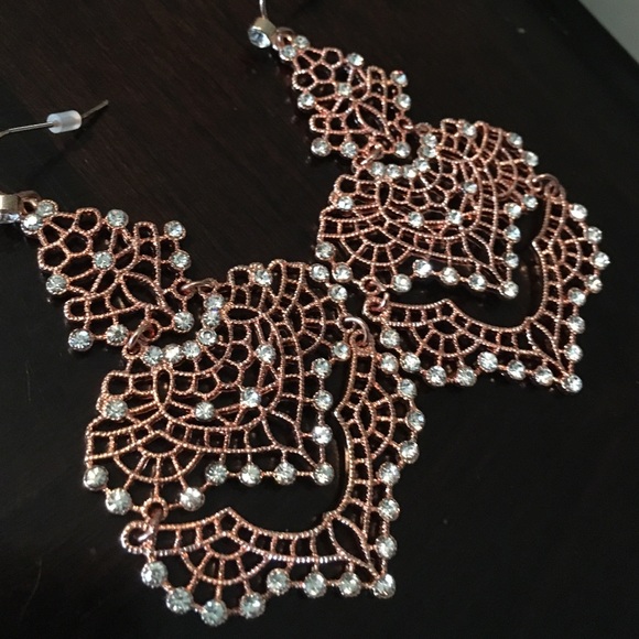 Beautiful brand new earrings!