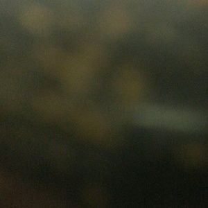 Meet your Posher, Shane