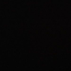 Meet your Posher, Nina