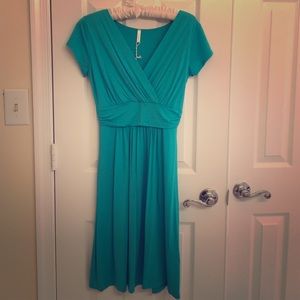 NWT turquoise PinkBlush Maternity/Nursing dress