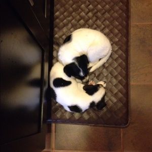 Meet your Posher, Don