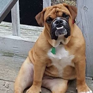 Meet your Posher, Leeann