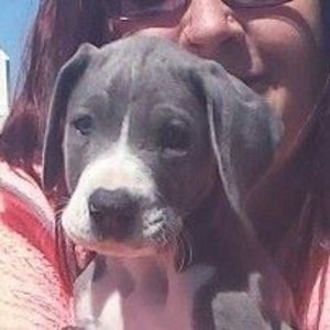 Meet your Posher, Angie