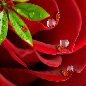 Meet your Posher, Debra