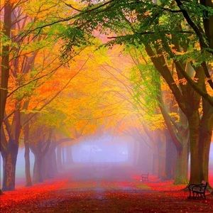 Meet your Posher, Carrie