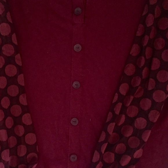 Anthropologie-Sparrow - Picture 2 of 2