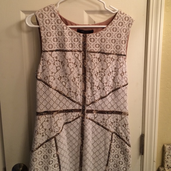 BCBG lace and leopard knee length dress sz 12