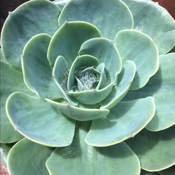 Meet your Posher, Ali