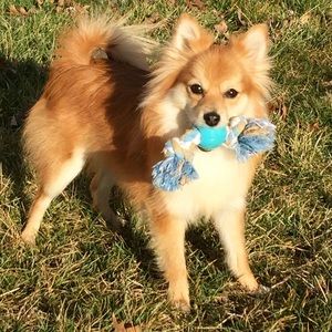 Meet your Posher, Marisela