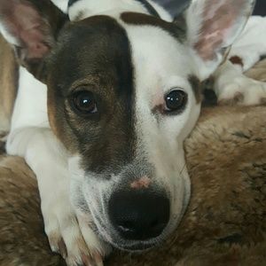 Meet your Posher, Kristi