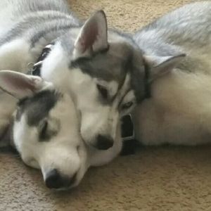 Meet your Posher, Christina