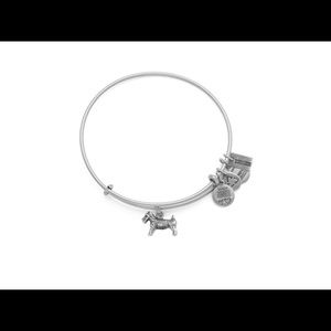 Alex and Ani dog bangle
