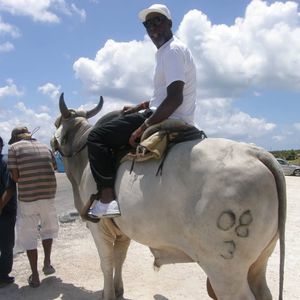 Meet your Posher, Alfred l.