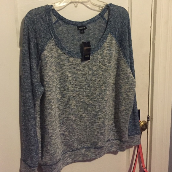 Torrid cropped sweater