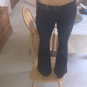 Hudson Dark Flare Jeans