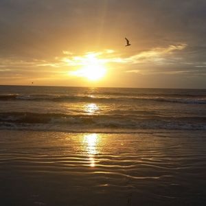 Meet your Posher, Sheri