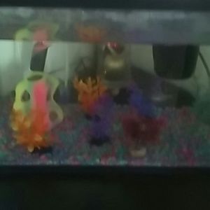 Meet your Posher, Magalis