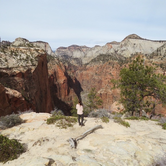 • Meet the posher • - Picture 3 of 7