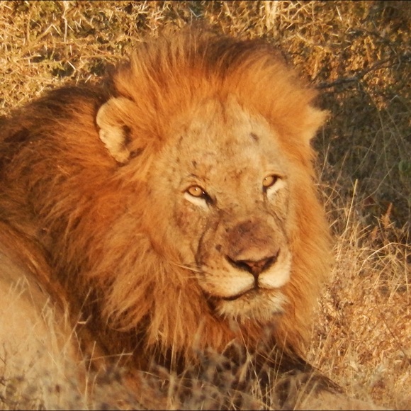 • Meet the posher • - Picture 5 of 7