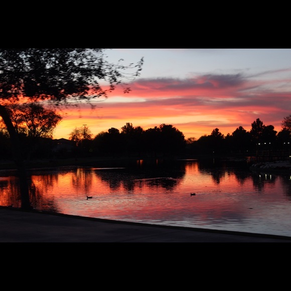 Meet your Posher, Lexi - Picture 4 of 4