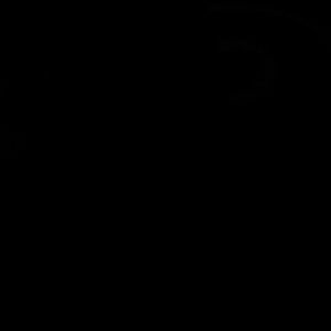 Meet your Posher, Diego