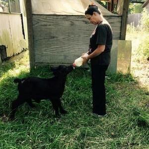 Meet your Posher, Linda