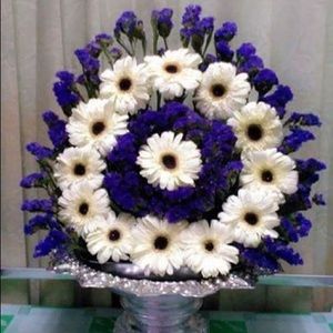 Meet your Posher, Sui