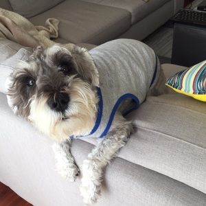 Meet your Posher, Ai