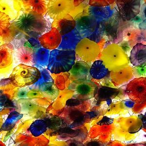 Meet your Posher, Janet f