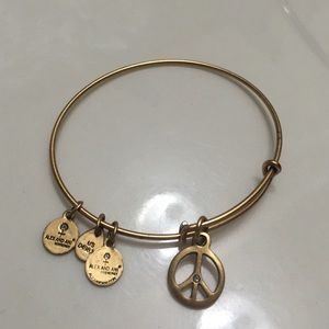 AUTHENTIC ALEX AND ANI