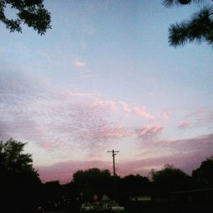 Meet your Posher, Nayeli