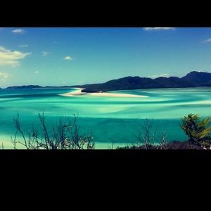 Meet your Posher, Teddi