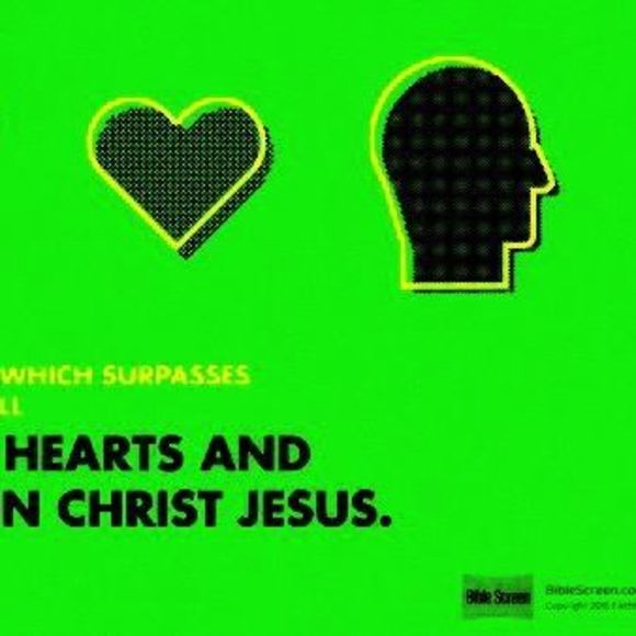 Meet your Posher, Sean - Picture 1 of 1