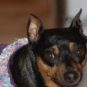 Meet your Posher, Maxine duarte