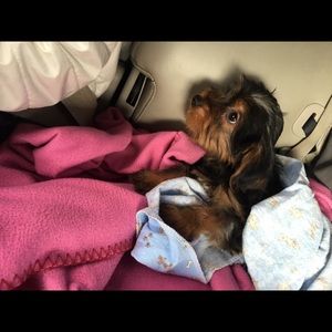 Meet your Posher, Taylor