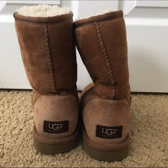 UGG classic short boots chestnut