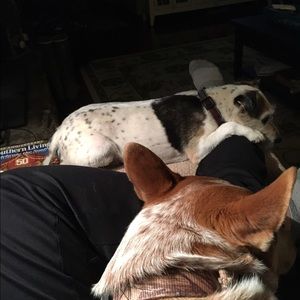 Meet your Posher, Kim