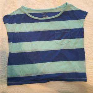American Eagle Crop Top